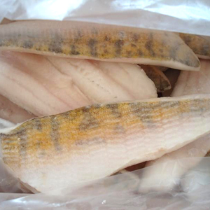 Snoekbaarsfilet diepvries portie 180/220 gram